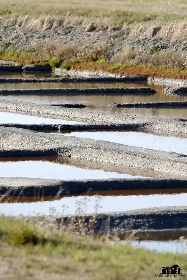Marais Breton-Vendéen – prairie inondée et ciel nuageux